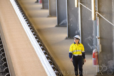 January 2021 / OUTER_HARBOR_SA_345