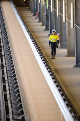 January 2021 / OUTER_HARBOR_SA_352