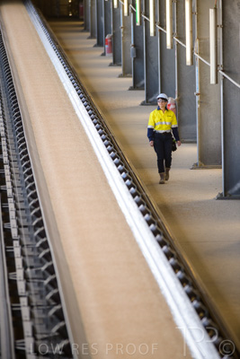 January 2021 / OUTER_HARBOR_SA_353