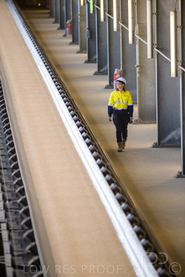 January 2021 / OUTER_HARBOR_SA_354