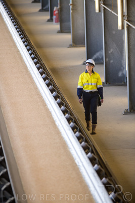 January 2021 / OUTER_HARBOR_SA_356