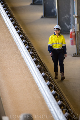 January 2021 / OUTER_HARBOR_SA_361