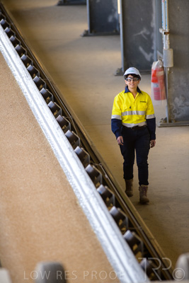 January 2021 / OUTER_HARBOR_SA_362