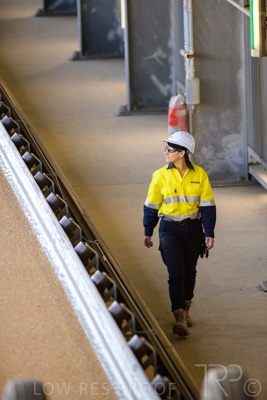 January 2021 / OUTER_HARBOR_SA_364