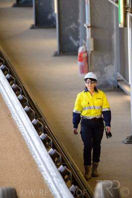 January 2021 / OUTER_HARBOR_SA_365