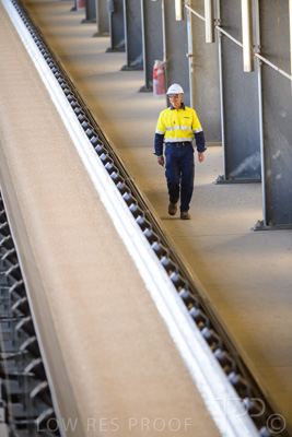 January 2021 / OUTER_HARBOR_SA_375