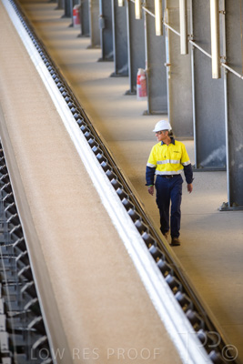 January 2021 / OUTER_HARBOR_SA_376