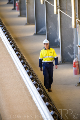 January 2021 / OUTER_HARBOR_SA_378