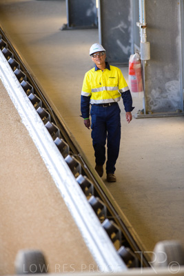 January 2021 / OUTER_HARBOR_SA_381