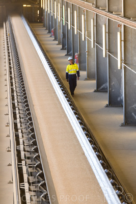 January 2021 / OUTER_HARBOR_SA_391