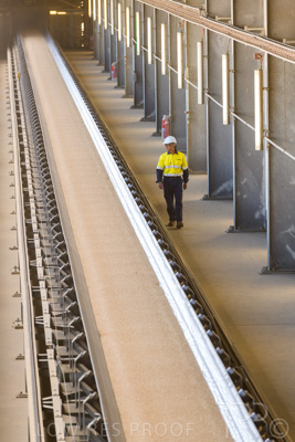 January 2021 / OUTER_HARBOR_SA_392