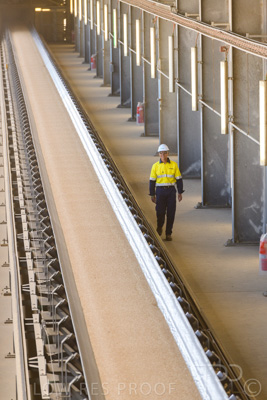 January 2021 / OUTER_HARBOR_SA_394