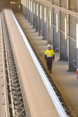 January 2021 / OUTER_HARBOR_SA_395