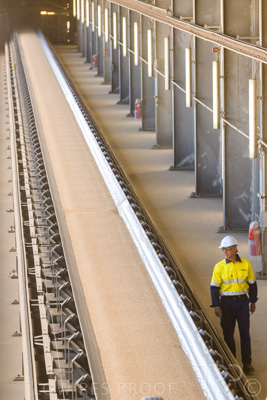 January 2021 / OUTER_HARBOR_SA_396