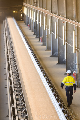 January 2021 / OUTER_HARBOR_SA_397