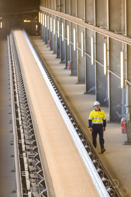 January 2021 / OUTER_HARBOR_SA_402