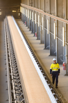 January 2021 / OUTER_HARBOR_SA_404