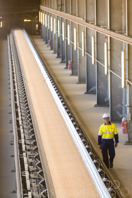 January 2021 / OUTER_HARBOR_SA_405