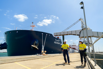 January 2021 / OUTER_HARBOR_SA_406