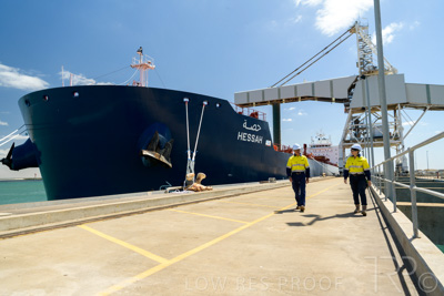 January 2021 / OUTER_HARBOR_SA_417