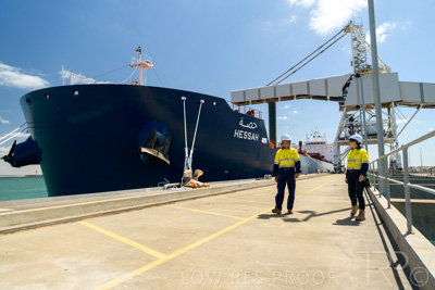 January 2021 / OUTER_HARBOR_SA_419