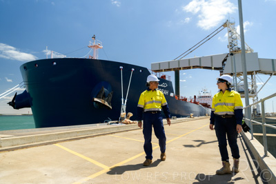 January 2021 / OUTER_HARBOR_SA_424