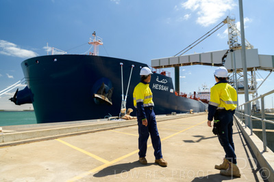 January 2021 / OUTER_HARBOR_SA_426