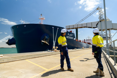 January 2021 / OUTER_HARBOR_SA_429