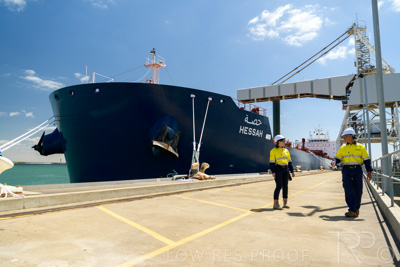 January 2021 / OUTER_HARBOR_SA_433