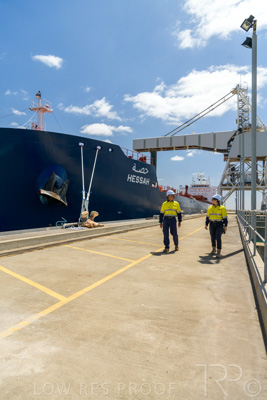 January 2021 / OUTER_HARBOR_SA_527