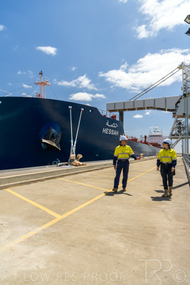 January 2021 / OUTER_HARBOR_SA_529