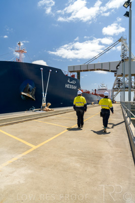 January 2021 / OUTER_HARBOR_SA_549