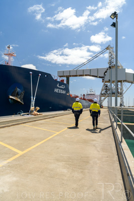 January 2021 / OUTER_HARBOR_SA_550