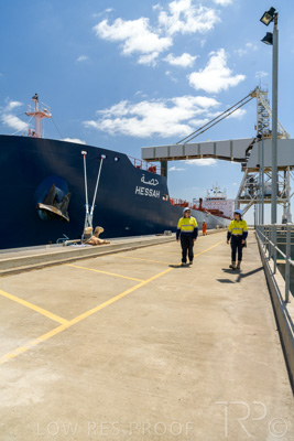 January 2021 / OUTER_HARBOR_SA_555