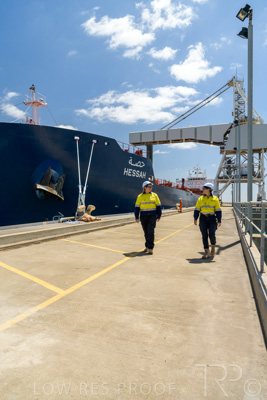 January 2021 / OUTER_HARBOR_SA_556