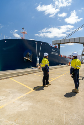 January 2021 / OUTER_HARBOR_SA_559