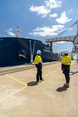 January 2021 / OUTER_HARBOR_SA_560