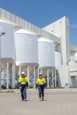 January 2021 / OUTER_HARBOR_SA_672