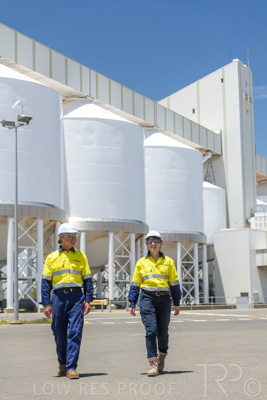 January 2021 / OUTER_HARBOR_SA_674