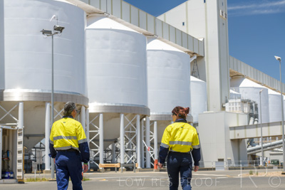 January 2021 / OUTER_HARBOR_SA_729