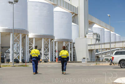 January 2021 / OUTER_HARBOR_SA_731