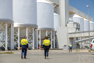 January 2021 / OUTER_HARBOR_SA_733