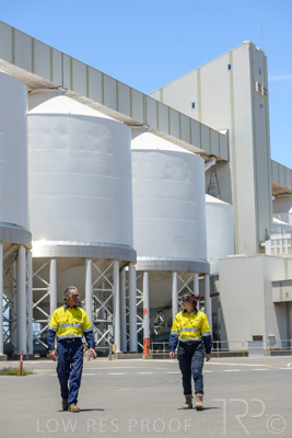 January 2021 / OUTER_HARBOR_SA_738