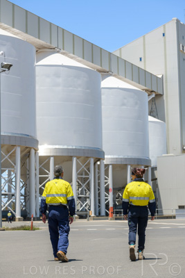 January 2021 / OUTER_HARBOR_SA_743