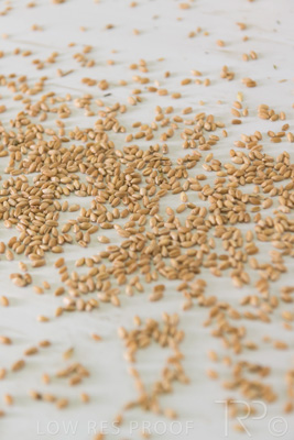 January 2021 / OUTER_HARBOR_SA_776