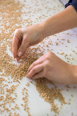 January 2021 / OUTER_HARBOR_SA_777