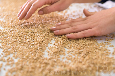 January 2021 / OUTER_HARBOR_SA_779