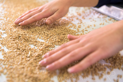 January 2021 / OUTER_HARBOR_SA_782