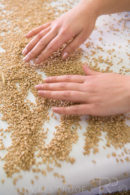 January 2021 / OUTER_HARBOR_SA_783