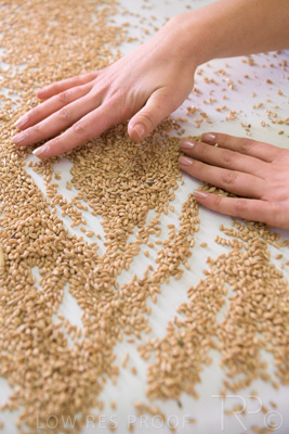 January 2021 / OUTER_HARBOR_SA_784